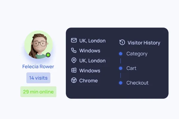 Visitor details and sales insights dashboard