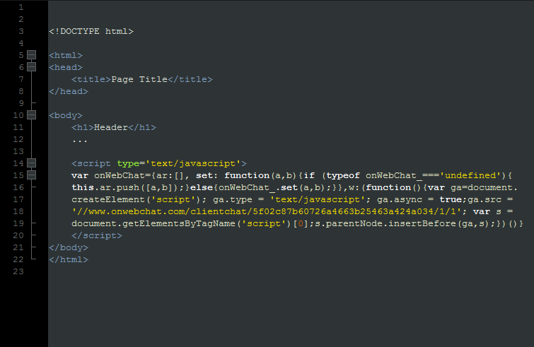 Example of where to place the onWebChat installation code